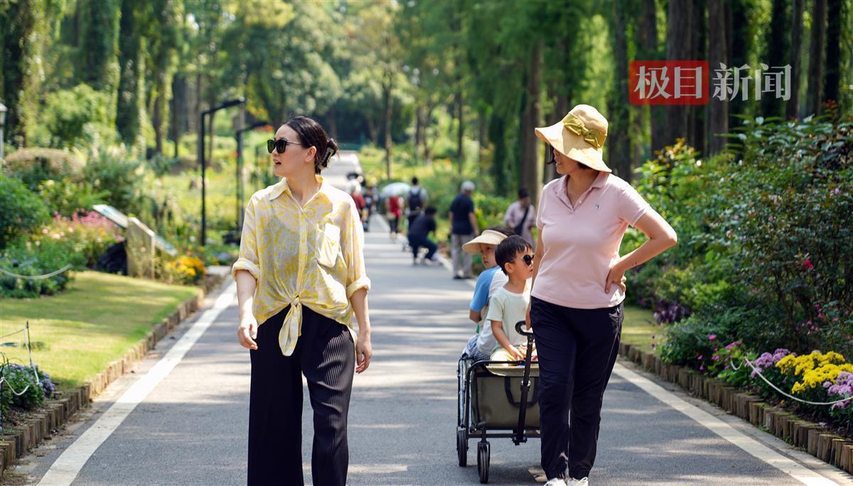 吉祥航空官网登陆